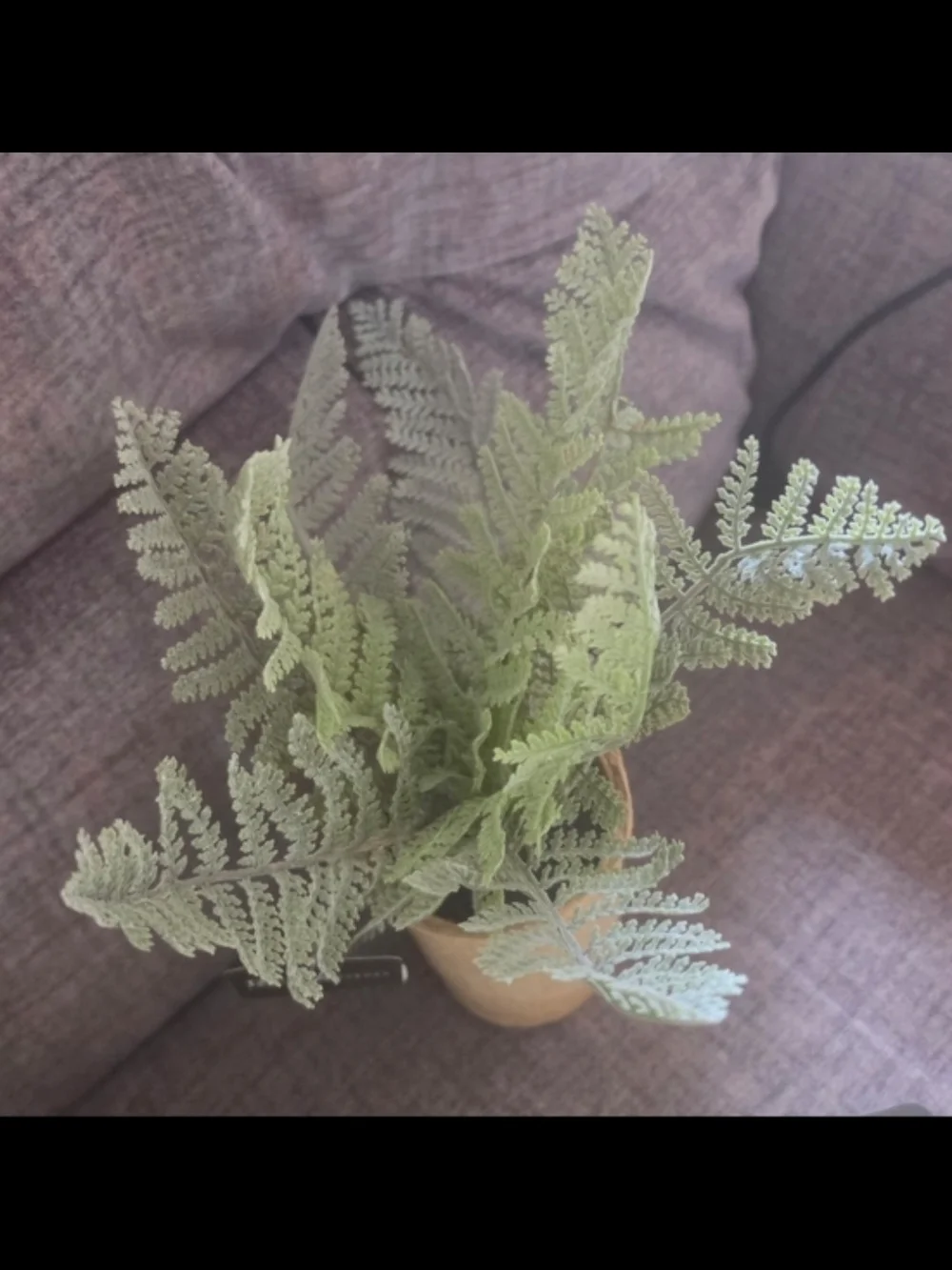 New Artificial Greenery And Flowers. Most Are From PD Homes. 16 Pieces.